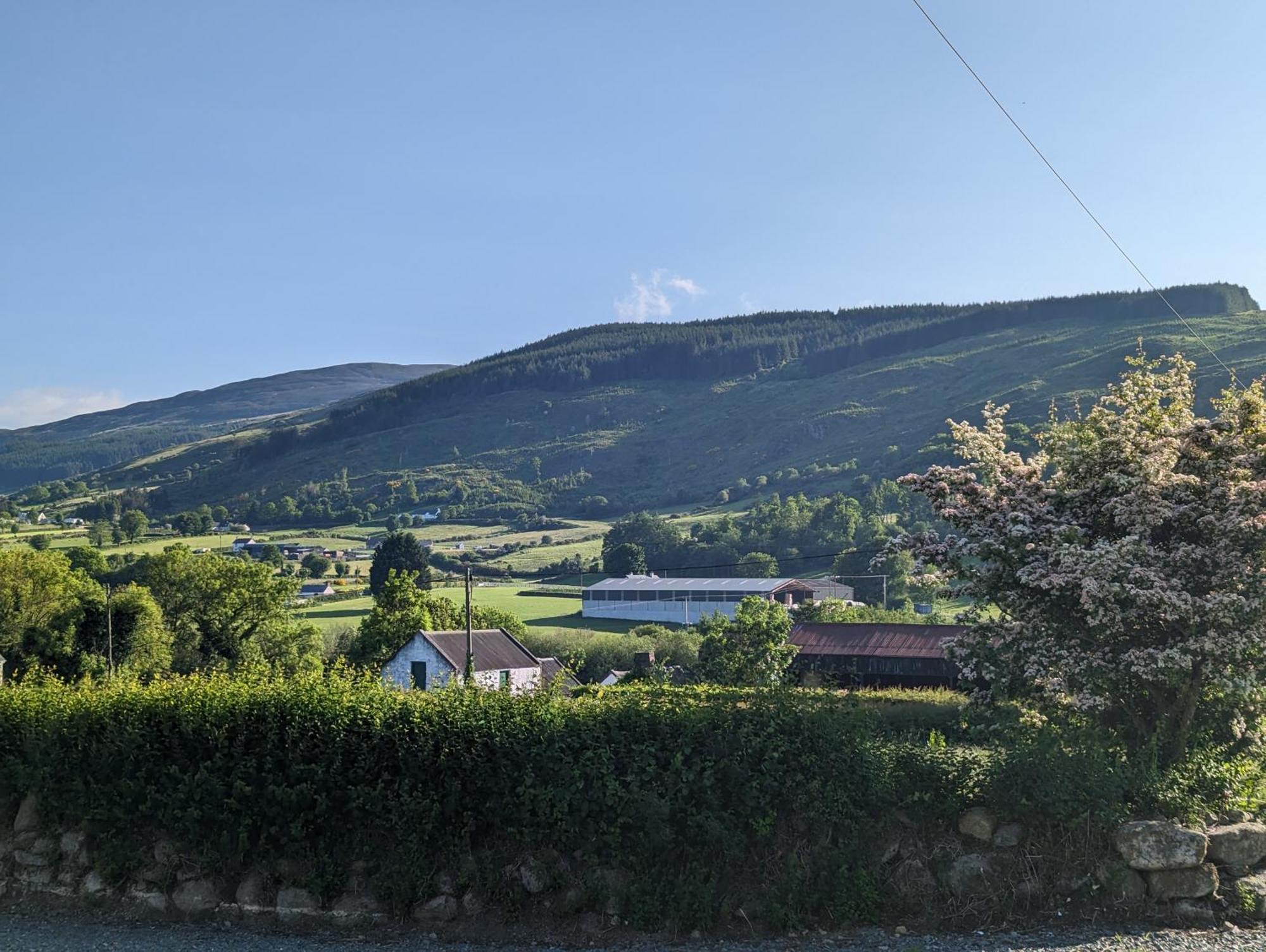 Killeavy Cottage Meigh 외부 사진