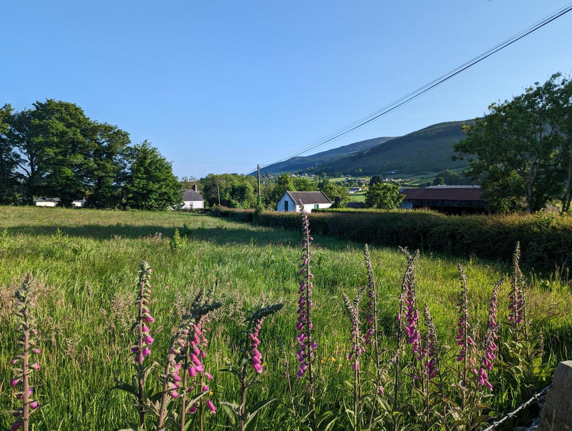 Killeavy Cottage Meigh 외부 사진